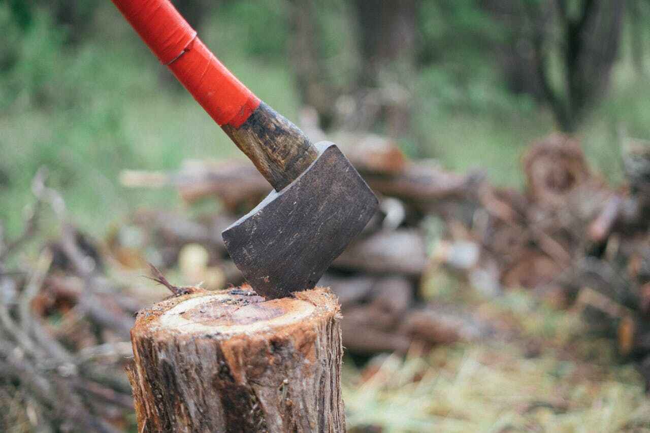 Best Tree Trimming Near Me  in Jupiter Farms, FL